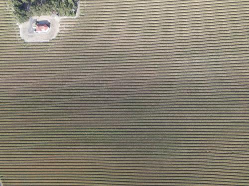 DJI_4164.JPG